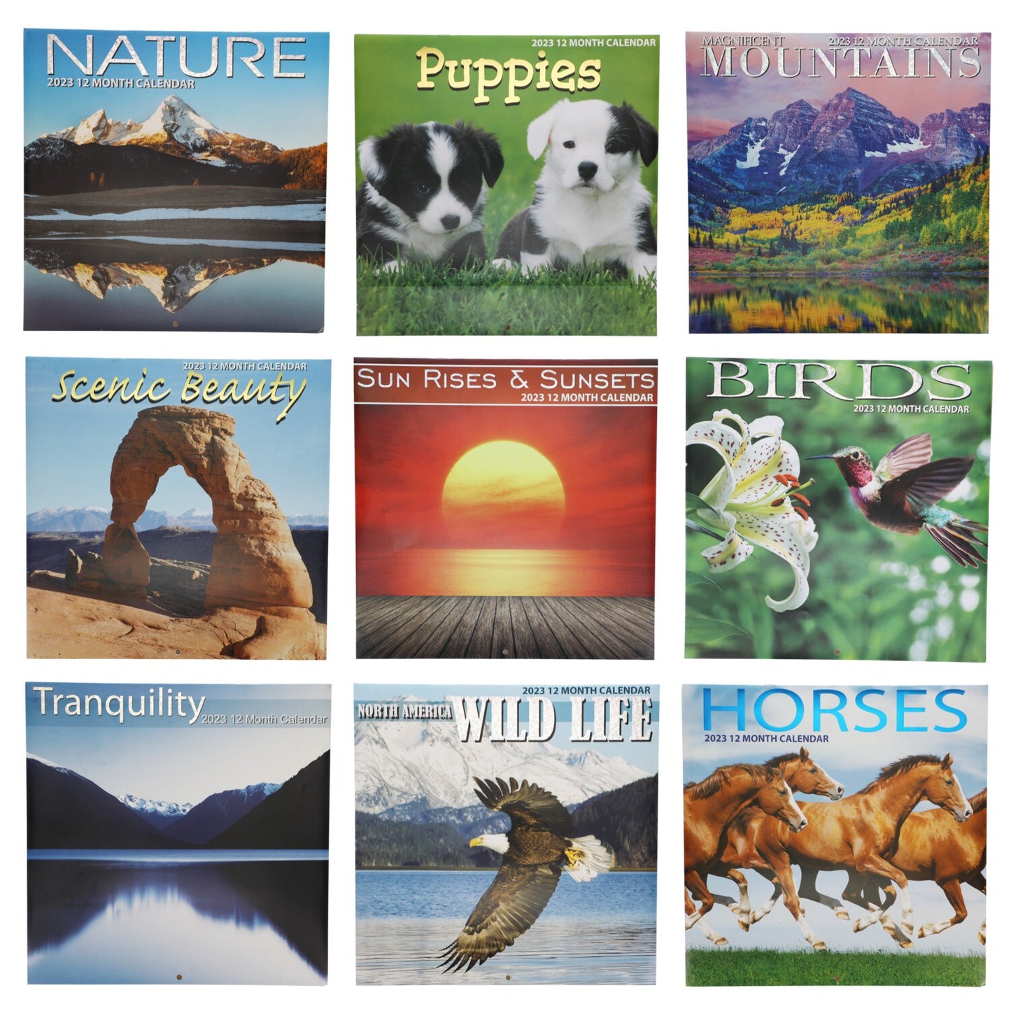 2023 Nature-Themed Wall Calendars, 12x12-in. (Pack of 48)